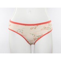 Коралловые слипы<br/><span class='tw-product-name2'>в сетку с цветами</span> test alt 4