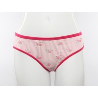 Розовые слипы<br/><span class='tw-product-name2'>в полоску с розами</span> test alt 4