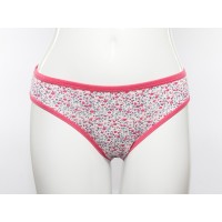 Розовые трусы<br/><span class='tw-product-name2'>слипы с цветами</span> test alt 4