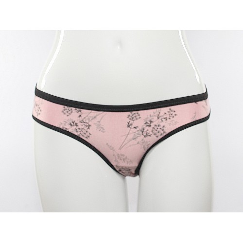 Розовые трусы<br/><span class='tw-product-name2'>слипы с цветами</span> test alt 4