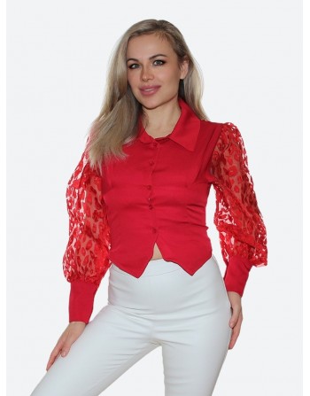 Красная блузка<br/><span class='tw-product-name2'>с длинным рукавом</span> test alt 4