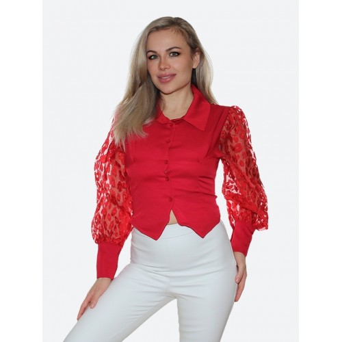 Красная блузка<br/><span class='tw-product-name2'>с длинным рукавом</span> test alt 4